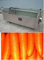 Carrot  Washing and Peeling Machine 