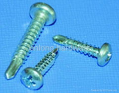 Self tapping screw