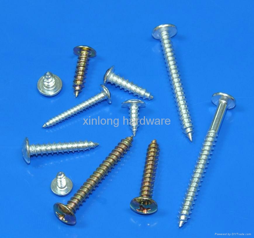Self tapping screw M4X8 xinlong (China Manufacturer) Nuts & Bolts