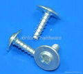 Self tapping screw 3