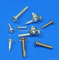 Self tapping screw 4