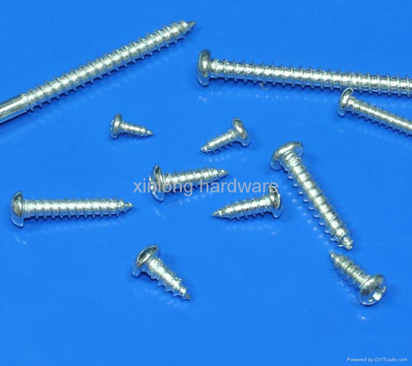 Self tapping screw M4X8 xinlong (China Manufacturer) Nuts & Bolts