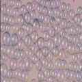 Inorganic chemical filler hollow glass bubbles for polymer and rubber 3