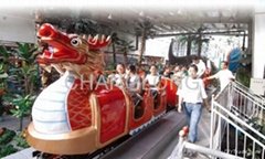 Amusement park equipment--Glide Dragon