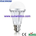 LED Globe Bulb 2