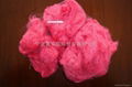 Magenta Polyester staple fiber