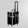 Trolley cosmetic case D9006 2