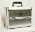 Aluminum Beauty case sliver colour medium size D2960M 2