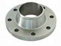 Flange 1