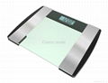 Body fat scale 1