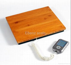 100 kg *10g shipping postal platform price scale