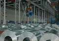 HDG steel coil