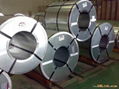 HDG steel coil 2