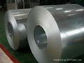 HDG steel coil 4