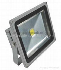 10W Spot Light