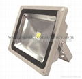 30W Spot Light