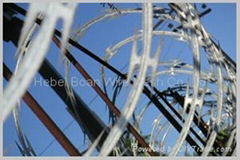 selling razor barbed wire 