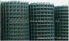 selling Euro fence /Holland Wire Mesh