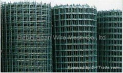 selling Euro fence /Holland Wire Mesh 