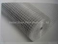 welded wire mesh