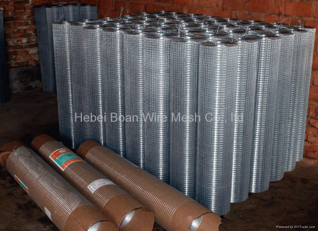 selling welded wire mesh panel  2