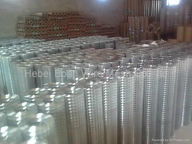 selling welded wire mesh panel  3
