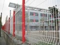 selling wire mesh fence 5