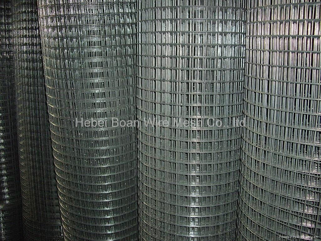 welded wire mesh  4