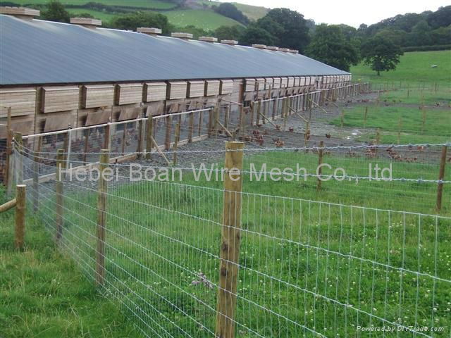 selling field fencing  2