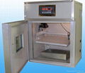 automatic egg incubator 