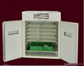 poultry egg incubator