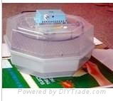 small plastic egg incubator 