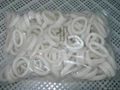 Sell squid ring annachen.sh 2