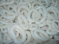 Sell squid ring annachen.sh 3