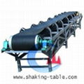 Supply Rubber Belt Conveyor 1