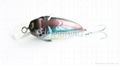 fishing hard plastic lure