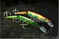 floating suspending fishing lure minnow 1