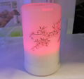 Aroma Diffuser fragrance humidifier 4