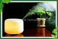 LED Ultrasonic 500ML Aroma Diffuser/ Air Purifier/ Air Humidifier 1