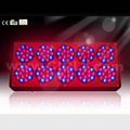 No.10 Apollo LED grow light 1