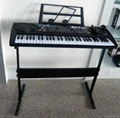 electronic organ  3