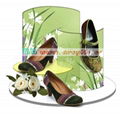 nature acrylic shoe display 1