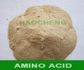  Compound Amino Acid powder 1