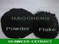 seaweed extract for organic fertilizer