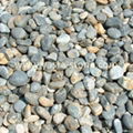 China Natural Cobbles & Pebble