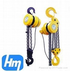 DHP Electric Hoist 
