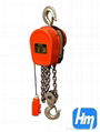 DHS Electric Chain Hoist 1