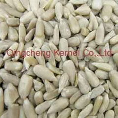 sunflower seed kernel 