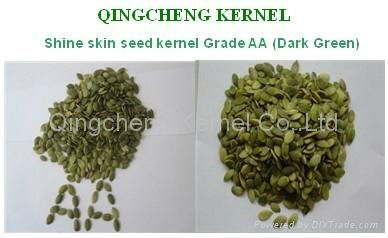 Punmpkin seed kernel  4