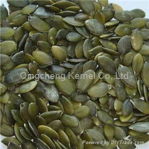 Punmpkin seed kernel  5